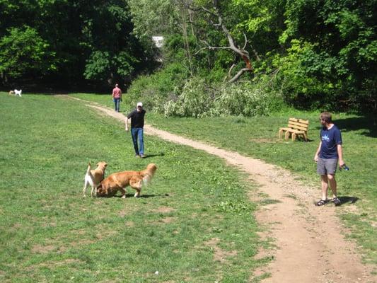 Trail on the no-leash section.