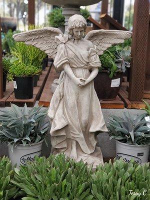 Nice selection of garden plants & supplies, statuary and pottery.   21 October 2020