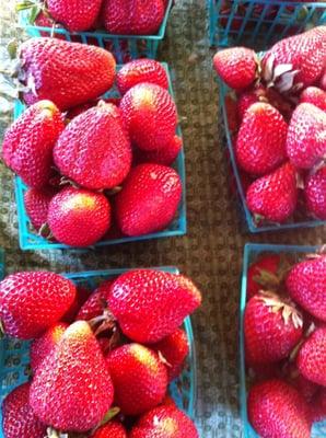 Look what I got at the market yesterday! Yummy, sweet and fresh.