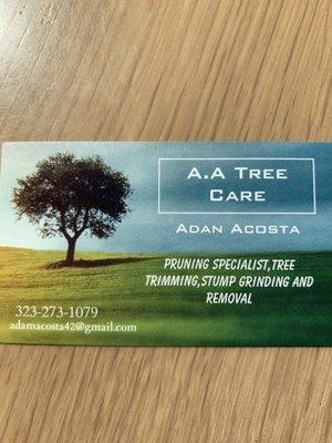 A.A Tree Care