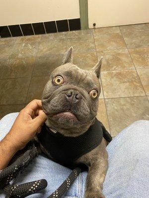 Winston waiting for his check up