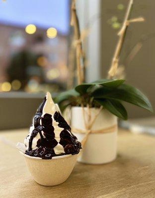 The BEST Italian Froyo! $6+$1 dark chocolate hazelnut sauce.