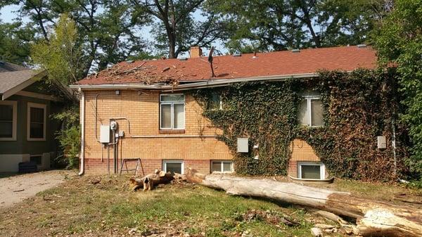 This Fort Collins home was hit pretty hard by this tree that fell on the roof.