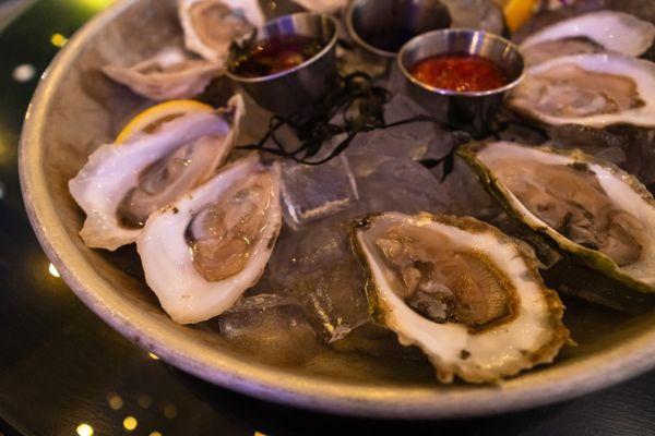 Oyster Flight