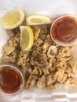 Calamari side marinara and slices of lemon