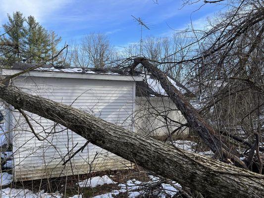 Emergecny Tree Removal - Jackson, MI:
 
 https://disqus.com/by/thetreeguyservicesllc/about/