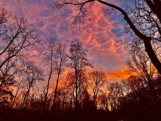 Schodack Island State Park