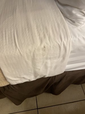 stains on the blankets