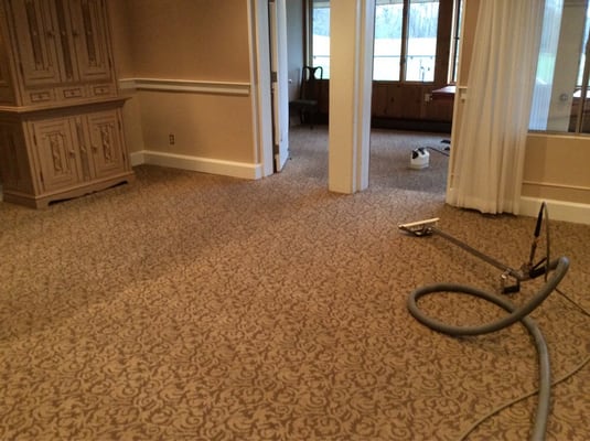 L & S Carpet Cleaning