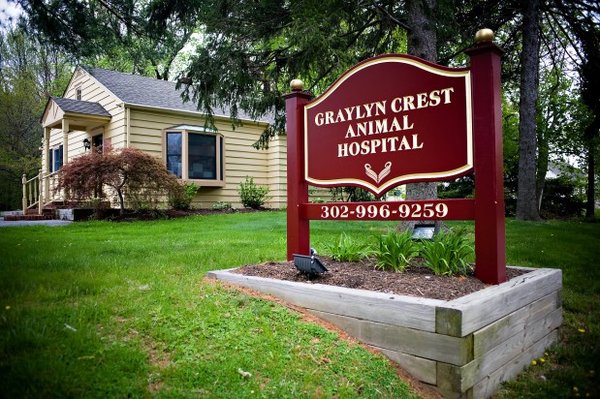 Graylyn Crest Animal Hospital