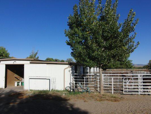 Horse Boarding in comfortable 12x12 stall with mats in center-aisle metal barn with runs off each stall.