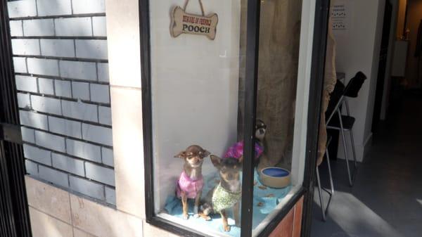 How much is that doggie in the window?