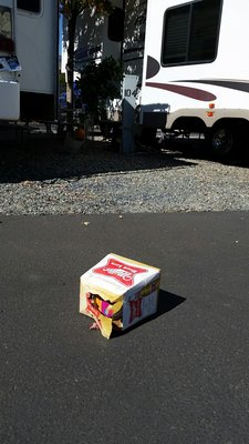 This trash filled beer box in the middle of the drive was creepy