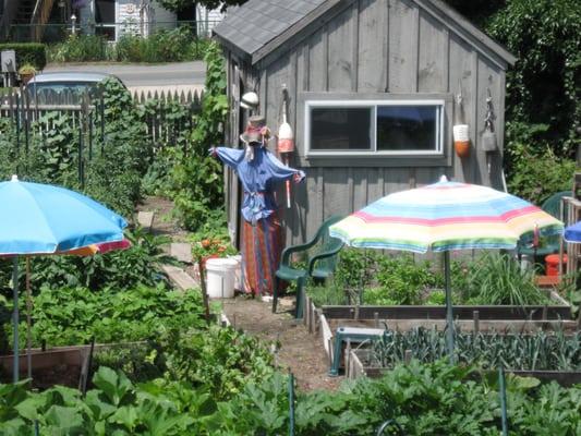 View of the Kitchen Garden