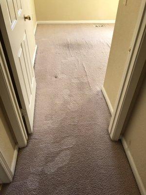 Before and after photos the photos speak for themselves great work Just like new carpet cleaning