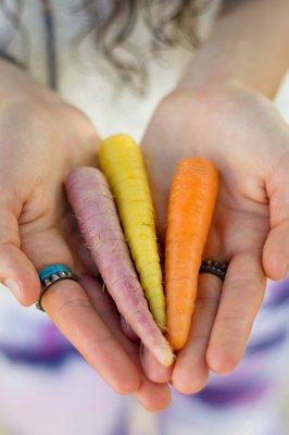 Beautiful carrots from our garden!