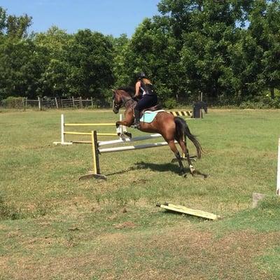 Gymnastics Exercises in pasture.