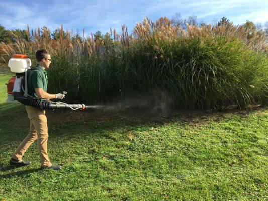 Treating shrubs and grass edge for Ticks and Mosquitoes.