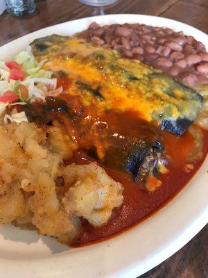 Vegetarian enchiladas