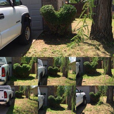 Clean Cut Lawn Care Of Oklahoma