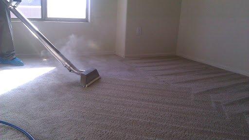 Professional Carpet Cleaning in LOS ANGELES