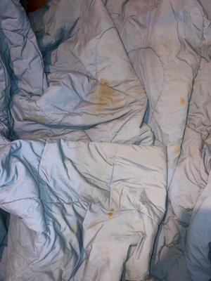 A comforter that came out of the laundromat dirtier than it went in...