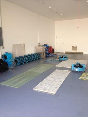 Area Rug Cleanings performed at our facility.