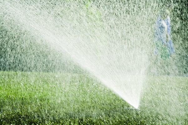 Sprinkler System