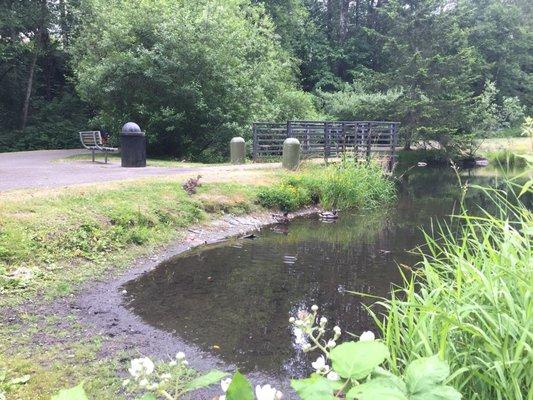 Showing up early enough, you will see homeless people and families of ducks still snoozing.