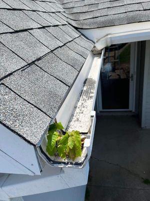 Gutter cleaning