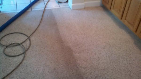 Typical Carpet Cleaning