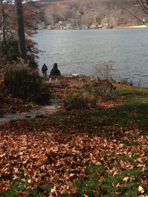 Lake property, looking towards lake. Before