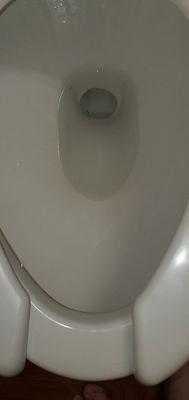 Slow running toilet but cleaned by me