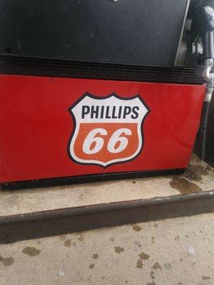 Wasmer's Phillip 66