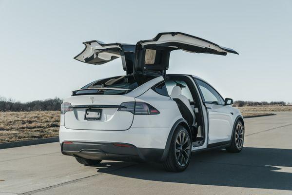 Model X Winged-Doors