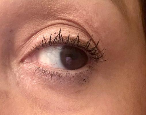 Lash lift! I can actually see my short lashes! Thank you Karla!