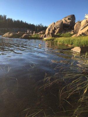 Downey Lake shore