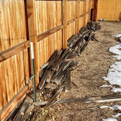 Before and After old fence removal