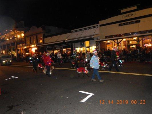 Parade of lights