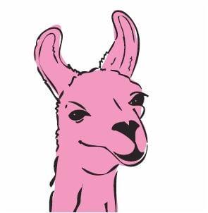 Hello!  I am THE pink llama, Balboa!