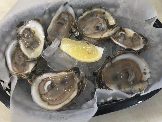 Fresh oysters raw or steamed