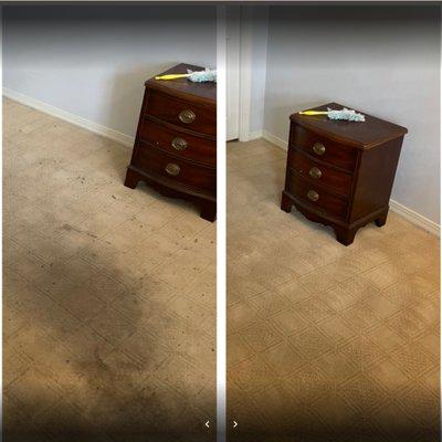 Carpet Cleaning with stain before & after