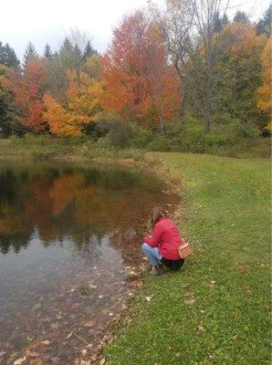 At the pond near the Pioneer's Cabin