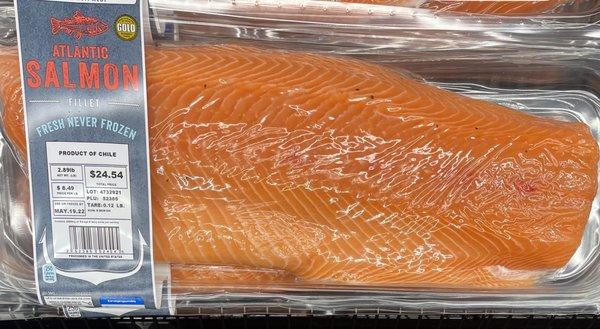 Mmm thats a big ass cut of salmon, Aldi German Supermarket, Westchase, Tampa