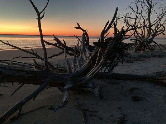 St Andrews Beach