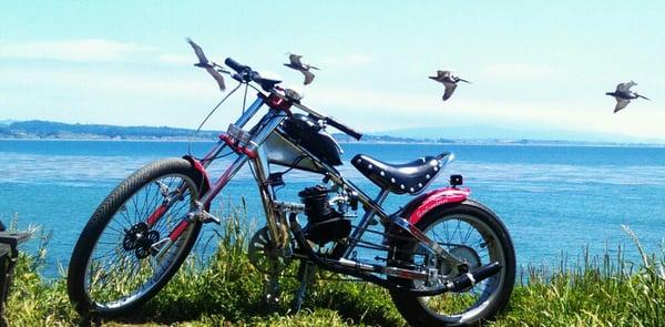 Santa Cruz Motorized Prized Chopper in all his Glory!