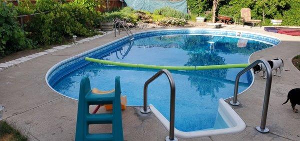 Crystal clear 16.5 X37.5 below ground pool unheated pool. Cold as Lake Tahoe.