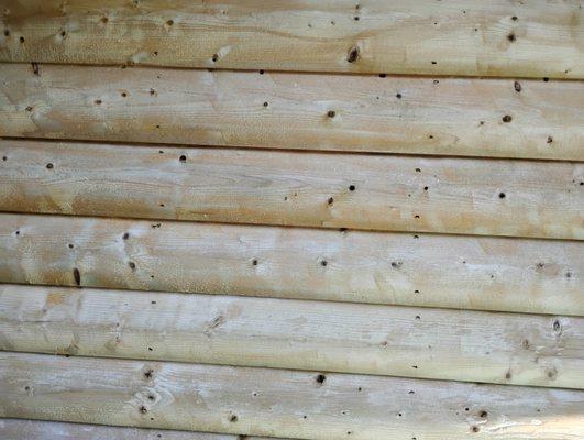 Log care carpenter bee removal