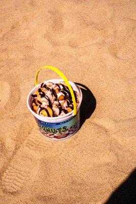 beach donut rings