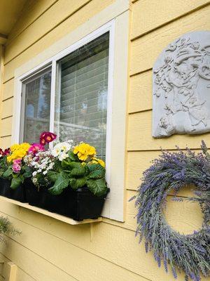 Cottage Flowers